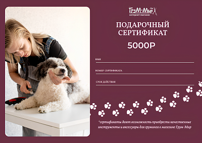 Сертификат подарочный  - 5000₽